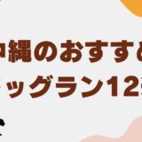 ドッグラン 沖縄