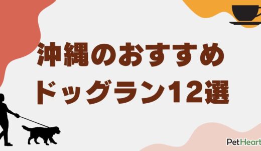 沖縄のドッグラン人気おすすめ12選！無料や貸切で遊べるスポット・カフェを紹介