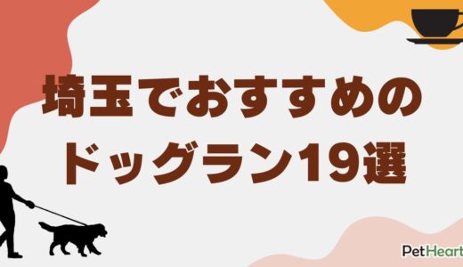 埼玉でおすすめのドッグラン19選！室内・室外、穴場スポットも