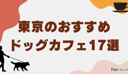 東京のおすすめドッグカフェ17選・都内で愛犬と楽しめる人気スポット