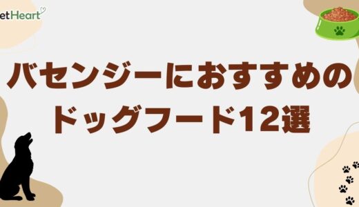 バセンジーおすすめドッグフード12選！食欲不振時の対策や最適な給餌量も紹介