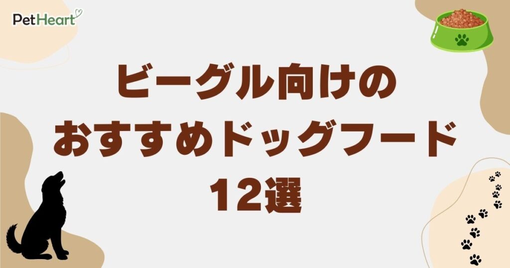 ビーグル ドッグフード アイキャッチ