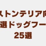 ボストンテリア ドッグフード