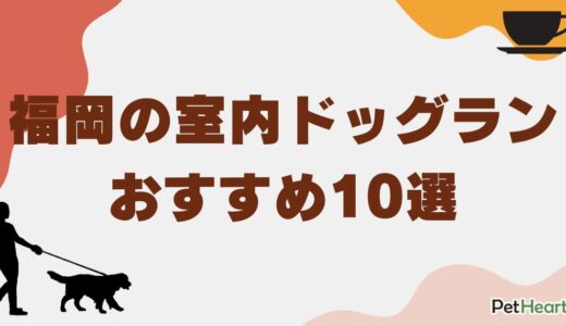 福岡の人気室内ドッグランおすすめ10選！無料やカフェ併設施設も