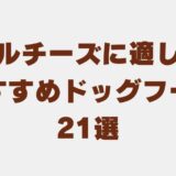 マルチーズ ドッグフード アイキャッチ