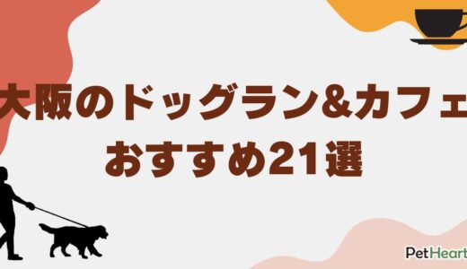 大阪のドッグラン&カフェおすすめ21選！大型犬OK・無料の人気施設も紹介