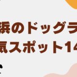 横浜 ドッグラン