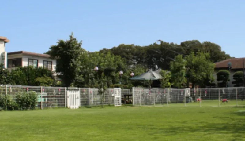 【栃木県小山市】ドッグラン＆ドッグカフェ sunsui（サンスイ）