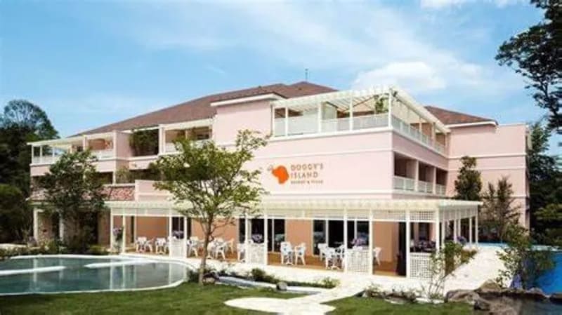 【千葉県八街市】小谷流の里 ドギーズアイランド