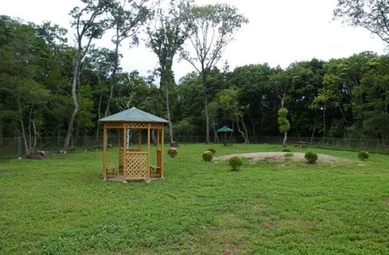 【千葉県茂原市】NANCY DOG PARK