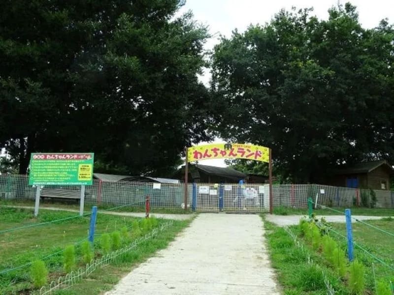 【千葉県袖ケ浦市】東京ドイツ村 わんちゃんランド