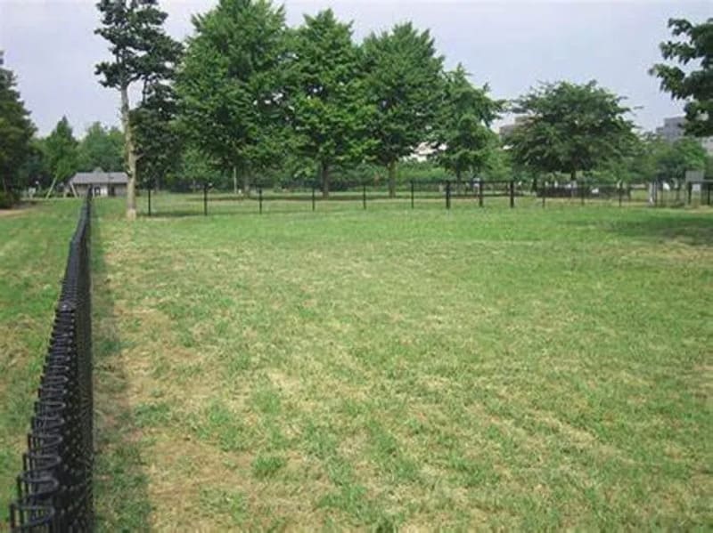 【東京都江東区】木場公園ドッグラン