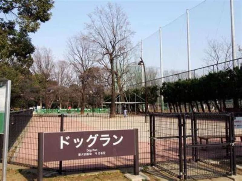 【東京都世田谷区】駒沢オリンピック公園ドッグラン