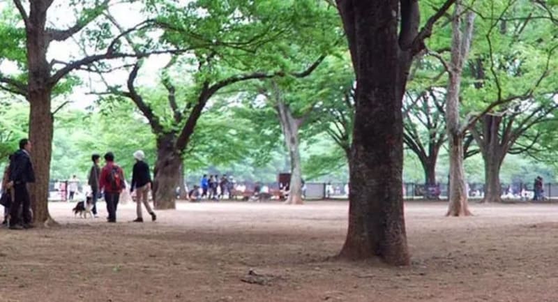 【東京都渋谷区】代々木公園ドッグラン