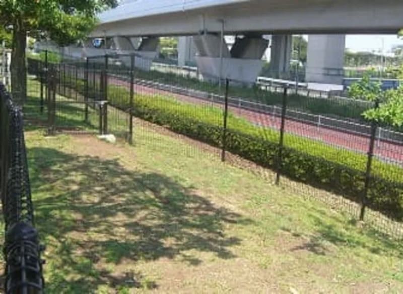 【横浜市磯子区】新杉田公園 ドッグラン