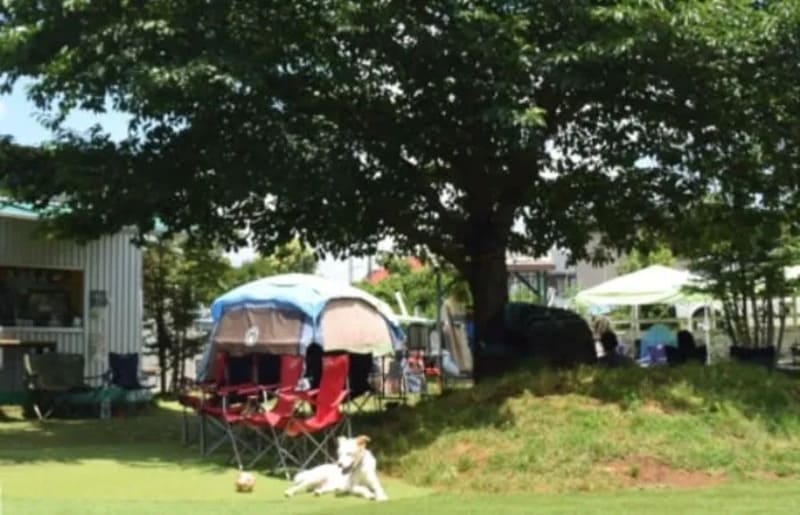 【横浜市都筑区】sippopo Dogrun(しっぽ舗ドッグラン)