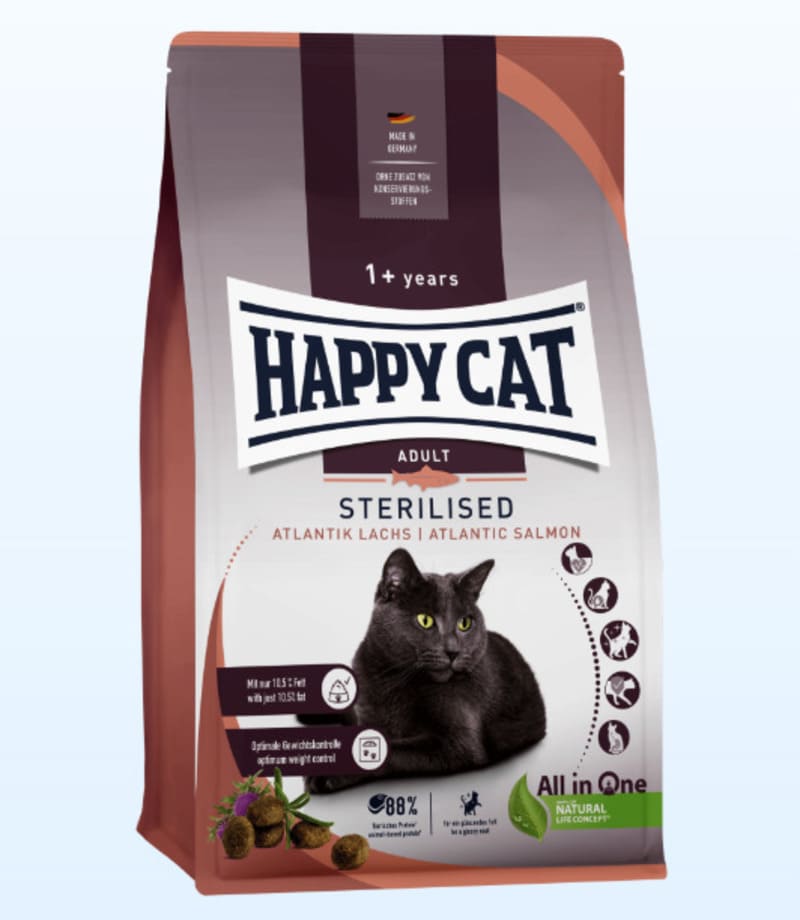 ハッピーキャット ステアライズド