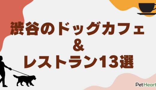 渋谷で愛犬と過ごせるドッグカフェ＆レストラン13選！ペット同伴可能な店を紹介