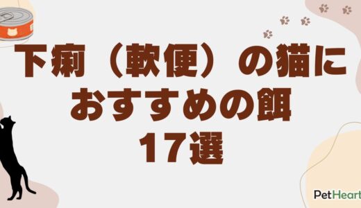 下痢（軟便）猫におすすめの餌17選！原因や注意点も解説