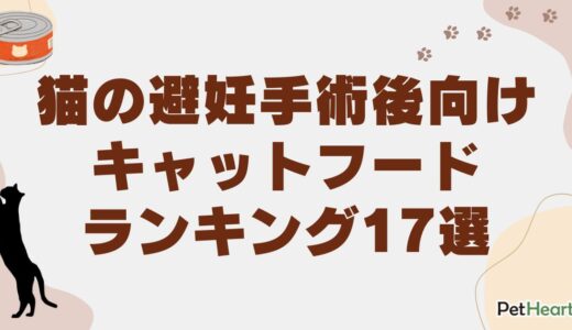 猫の避妊手術後向けキャットフードランキング17選！適切な期間やご飯の量も解説