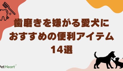 愛犬が嫌がる歯磨きを克服！効果的な方法とおすすめアイテムも紹介