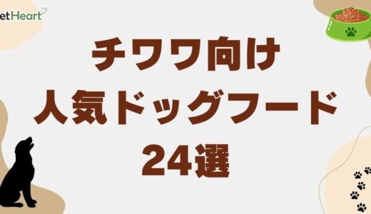 チワワ向け人気ドッグフード24選と評判！選択基準と食欲不振対策