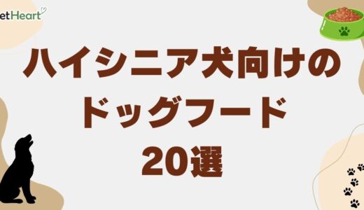 ハイシニア犬向けフード厳選20品！選択基準と食欲低下時の給餌法も詳述！