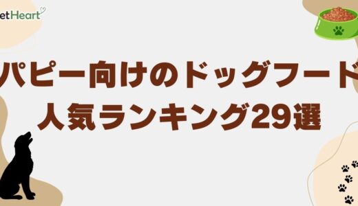 パピー専用ドッグフード人気ランキング29選！食事拒否時の対応法も！