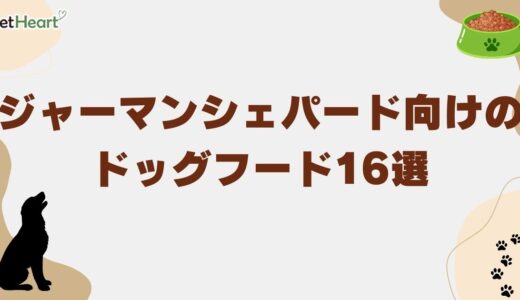 ジャーマンシェパード専用ドッグフード16選！幼犬用フードと給餌量も詳しく説明