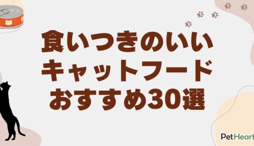 食いつきのいいキャットフードおすすめ30選！市販や安全なフードを紹介