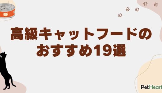 高級キャットフードおすすめ19選！厳選素材の人気フードを紹介