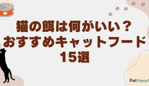 猫の餌は何がいい？おすすめの市販食いつきフード15選