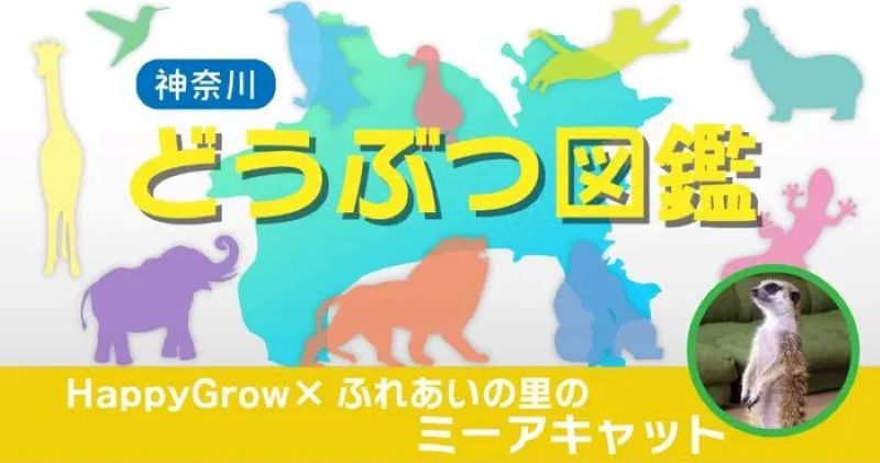 HappyGrow（はっぴーぐろう）×ふれあいの里