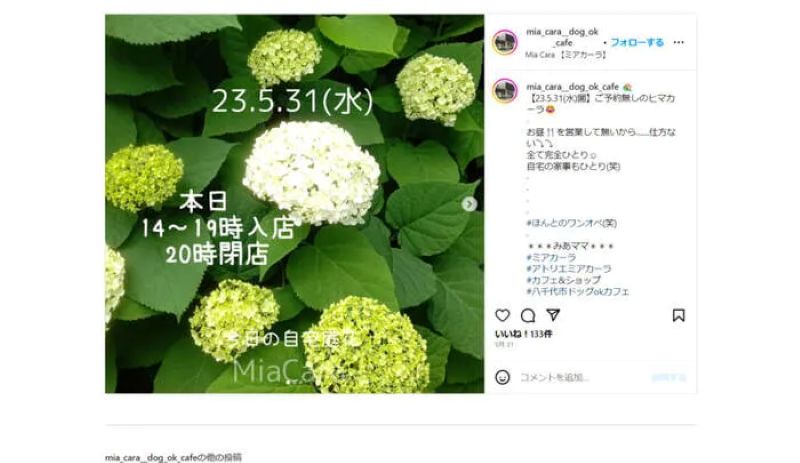 Mia Cara（ミアカーラ）