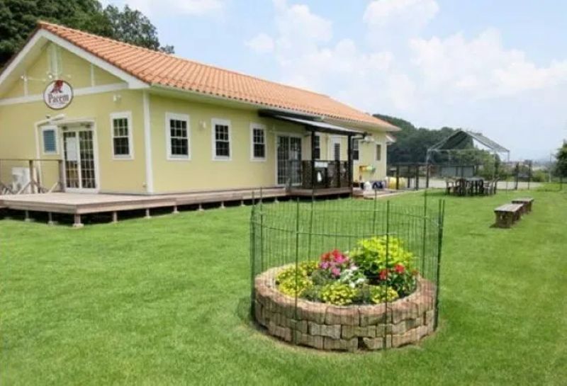 ドッグカフェPacem(パーチェム)