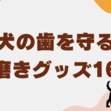 犬 歯磨き グッズ