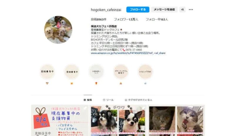 保護犬カフェR印西店