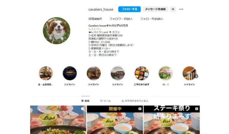 ドッグキャンパーレスト青柳(古賀市)