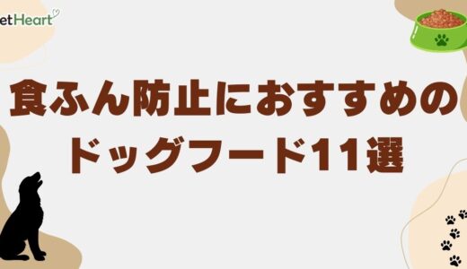 食ふん防止ドッグフードおすすめ11選！子犬が食べる理由や対処法も解説