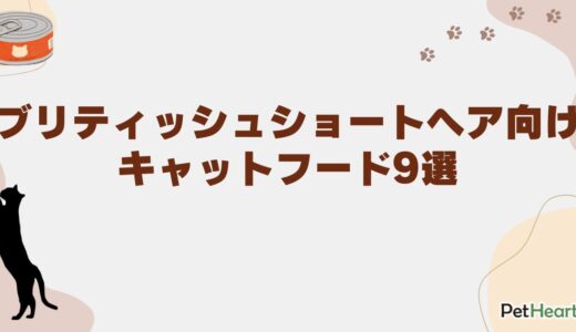 ブリティッシュショートヘア向けキャットフード9選！餌の量や子猫用フードも解説