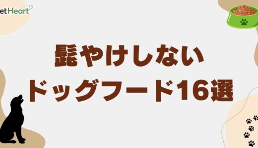 髭やけしないドッグフード16選！愛犬の口元を白く保つ対策も解説
