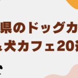ドッグカフェ福岡