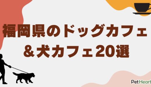 福岡県のドッグカフェ＆犬カフェ20選！愛犬同伴可能＆看板犬との触れ合いスポットも
