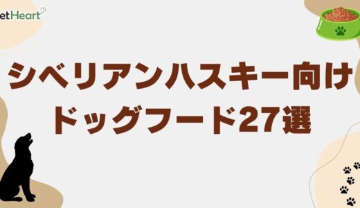 シベリアンハスキー向けドッグフード27選！選び方のコツや子犬向けも紹介