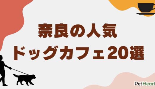 奈良の人気ドッグカフェ20選！同伴可能＆愛犬との触れ合いスポットも紹介