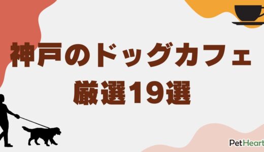 神戸で愛犬と過ごす特別なひとときを！ドッグカフェ19選のご紹介