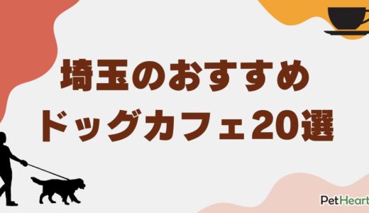 埼玉のおすすめドッグカフェ20選！愛犬同伴可能や看板犬と触れ合える店舗を紹介