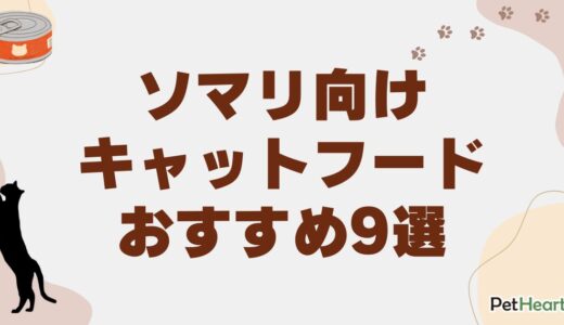 ソマリ向けキャットフードおすすめ9選！選び方やライフステージ別の与え方も解説