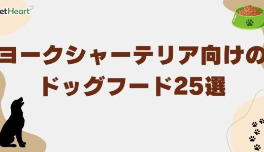 ヨークシャーテリア向けドッグフード25選！子犬の餌の量や涙やけ対策も紹介