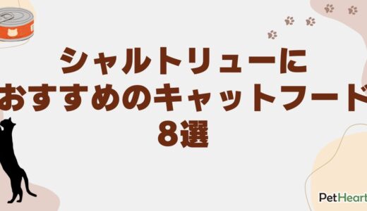 シャルトリューにおすすめのキャットフード8選！餌の選び方や食べない理由も紹介